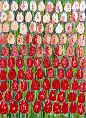 Biało-czerwone tulipany